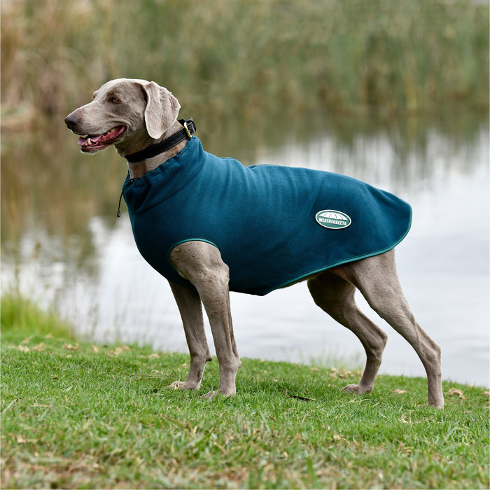 2023 Weatherbeeta GreenTec Fleece Zip Dog Coat 1021808 Dragonfly